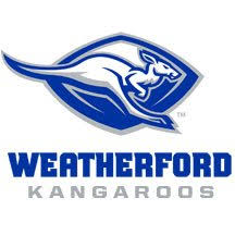 District Logo